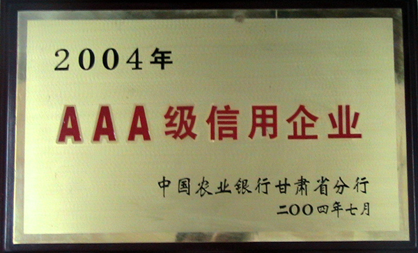 2004年AAA級(jí)信用企業(yè)