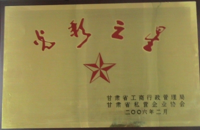 2006年光彩之星獎(jiǎng)